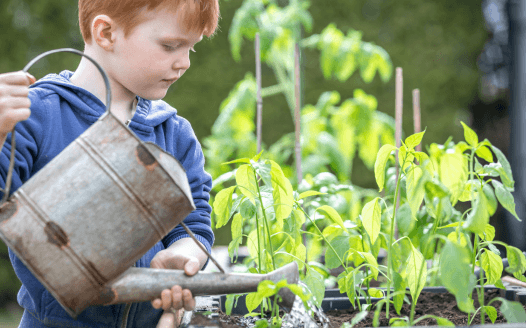 <strong>Ako záhradkárčiť s deťmi v škôlke</strong>