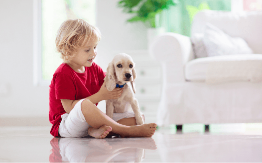 <strong>Říkanky o&nbsp;zvířatech</strong>